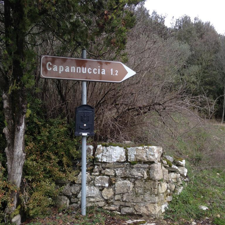 קסטלינה אין קיאנטי Villa Capannuccia מראה חיצוני תמונה