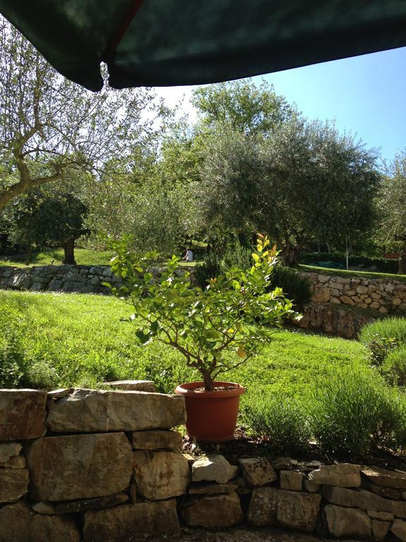 קסטלינה אין קיאנטי Villa Capannuccia מראה חיצוני תמונה