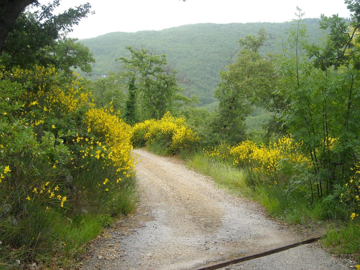 קסטלינה אין קיאנטי Villa Capannuccia מראה חיצוני תמונה