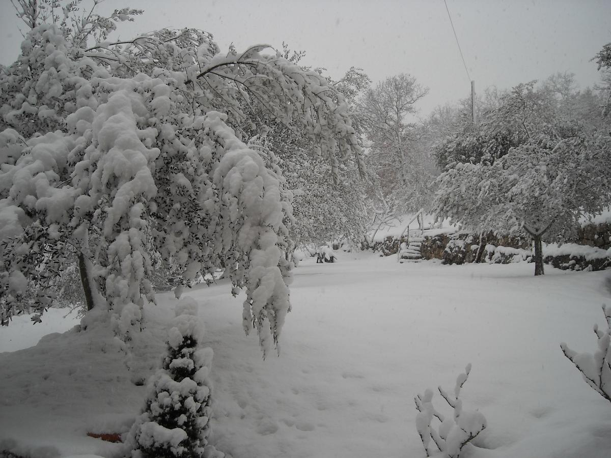 קסטלינה אין קיאנטי Villa Capannuccia מראה חיצוני תמונה