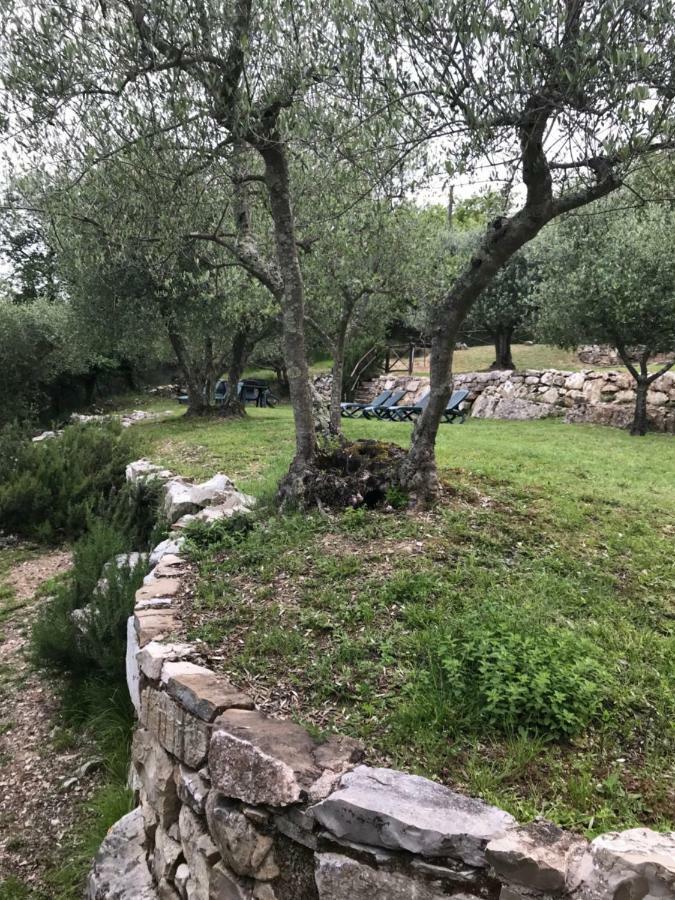 קסטלינה אין קיאנטי Villa Capannuccia מראה חיצוני תמונה