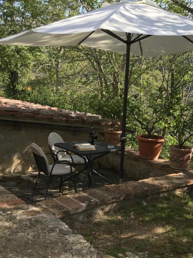 קסטלינה אין קיאנטי Villa Capannuccia מראה חיצוני תמונה